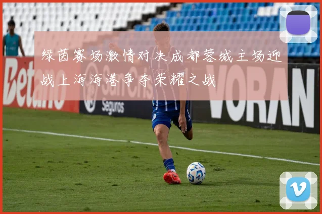 绿茵赛场激情对决成都蓉城主场迎战上海海港争夺荣耀之战