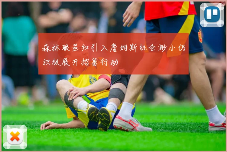 森林狼虽知引入詹姆斯机会渺小仍积极展开招募行动