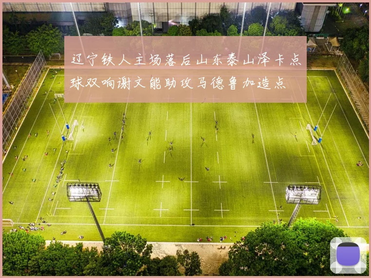 辽宁铁人主场落后山东泰山泽卡点球双响谢文能助攻马德鲁加造点